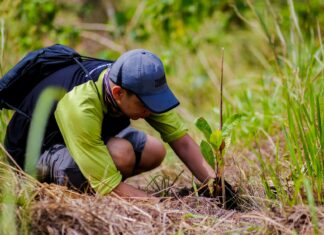 Smart, PSF recall devastation caused by ‘Ondoy,’ hold nationwide tree planting
