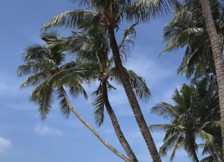 Boracay getaway for as low as P756.84 per person