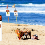 Warning No Video Conferencing