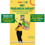 1- Palawan Pawnshop Low Interest, High Appraisal