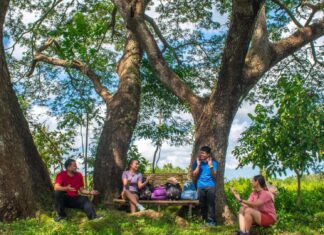 Naic: The Rising Getaway Location Outside Metro Manila