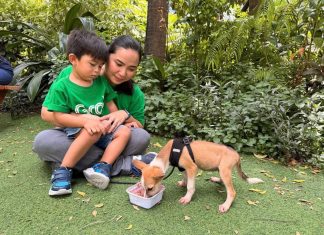 Pet lovers, here’s an easy way to help animals in need through GrabMart